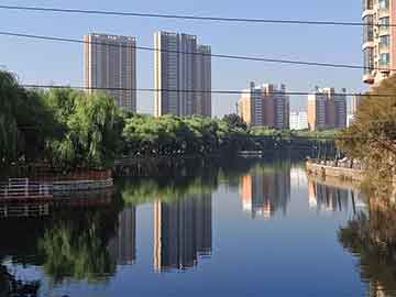 香港52479金